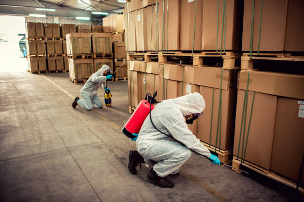 Best Mosquito Control Services  in Walkersville, MD