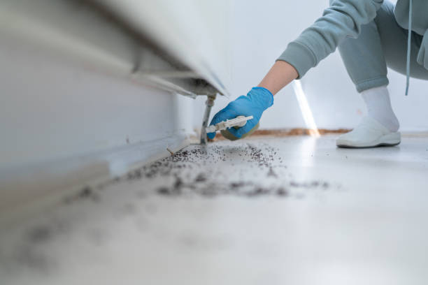 Pest Control Cost in Walkersville, MD